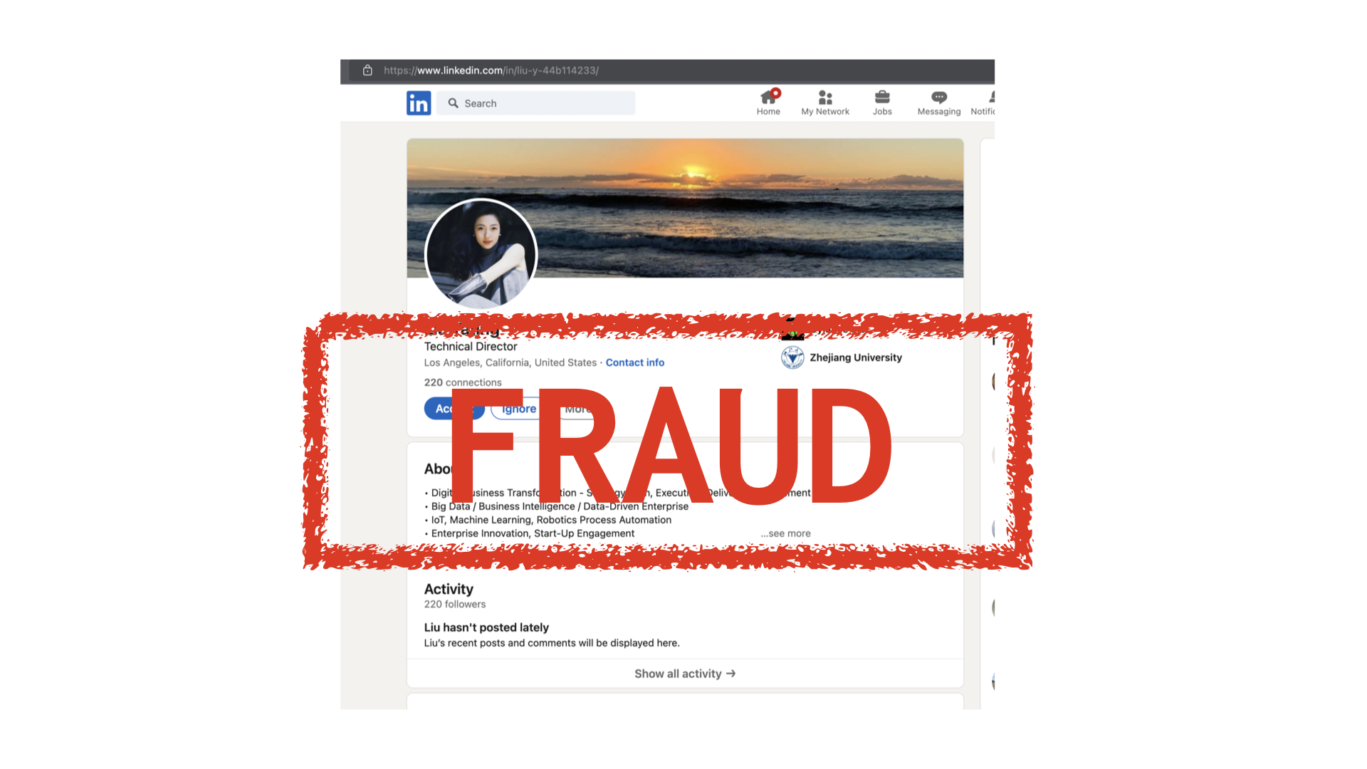 Linkedin Fraud